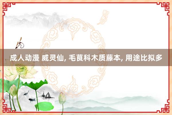 成人动漫 威灵仙, 毛茛科木质藤本, 用途比拟多