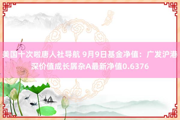 美国十次啦唐人社导航 9月9日基金净值：广发沪港深价值成长羼杂A最新净值0.6376