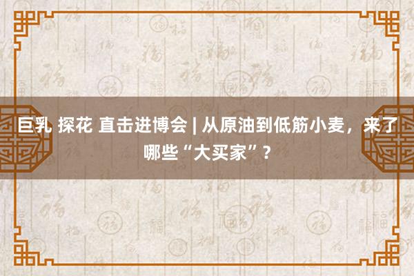 巨乳 探花 直击进博会 | 从原油到低筋小麦，来了哪些“大买家”？