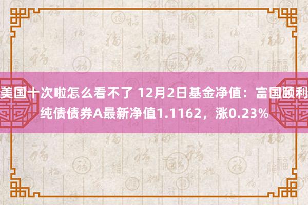美国十次啦怎么看不了 12月2日基金净值：富国颐利纯债债券A最新净值1.1162，涨0.23%