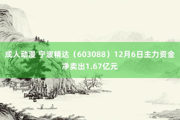 成人动漫 宁波精达（603088）12月6日主力资金净卖出1.67亿元