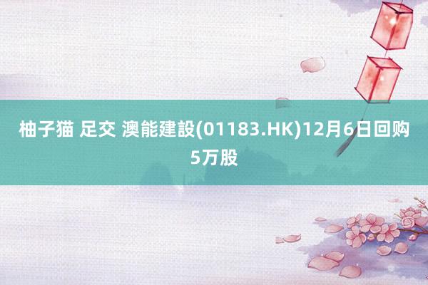 柚子猫 足交 澳能建設(01183.HK)12月6日回购5万股