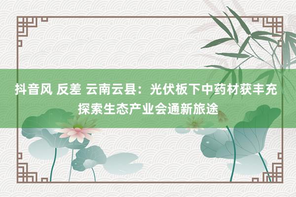 抖音风 反差 云南云县：光伏板下中药材获丰充 探索生态产业会通新旅途