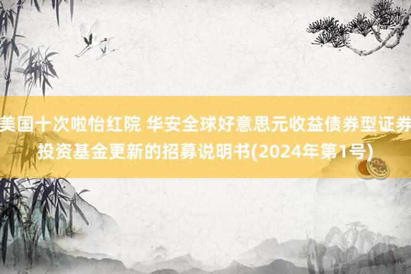 美国十次啦怡红院 华安全球好意思元收益债券型证券投资基金更新的招募说明书(2024年第1号)