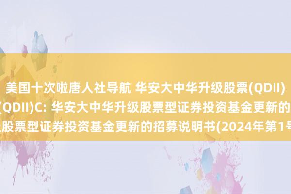 美国十次啦唐人社导航 华安大中华升级股票(QDII)A,华安大中华升级股票(QDII)C: 华安大中华升级股票型证券投资基金更新的招募说明书(2024年第1号)