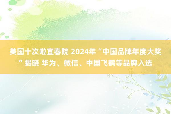 美国十次啦宜春院 2024年“中国品牌年度大奖”揭晓 华为、微信、中国飞鹤等品牌入选