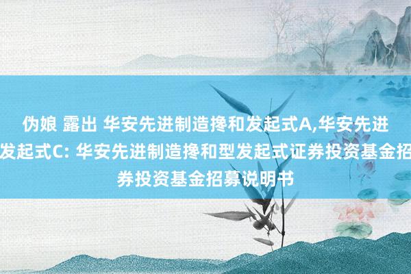 伪娘 露出 华安先进制造搀和发起式A,华安先进制造搀和发起式C: 华安先进制造搀和型发起式证券投资基金招募说明书
