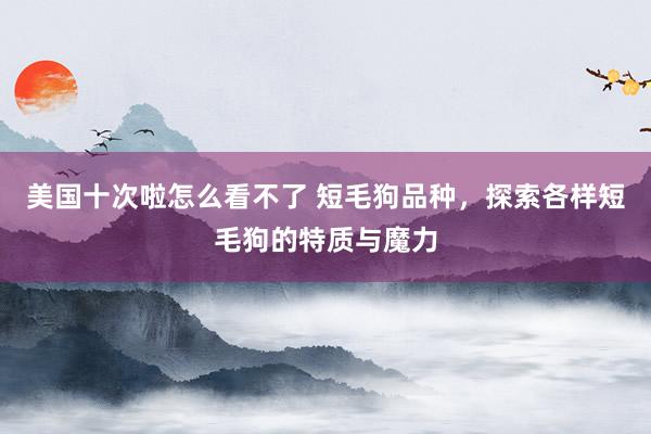 美国十次啦怎么看不了 短毛狗品种，探索各样短毛狗的特质与魔力