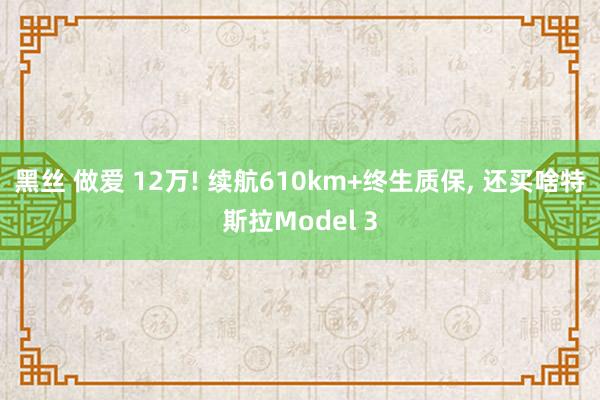 黑丝 做爱 12万! 续航610km+终生质保, 还买啥特斯拉Model 3