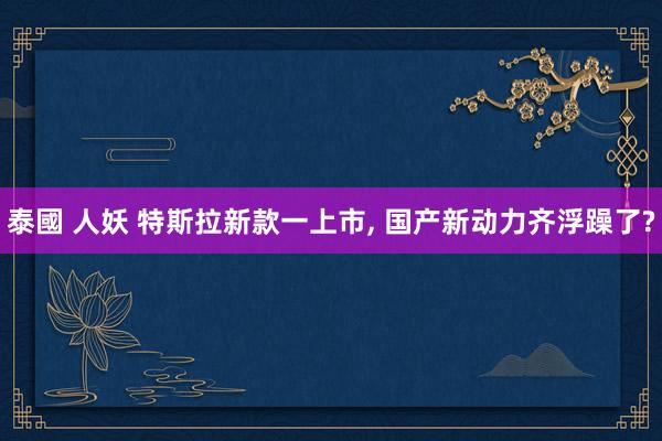 泰國 人妖 特斯拉新款一上市, 国产新动力齐浮躁了?