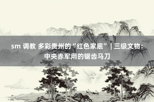 sm 调教 多彩贵州的“红色家底” | 三级文物：中央赤军用的锯齿马刀