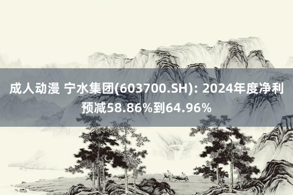 成人动漫 宁水集团(603700.SH): 2024年度净利预减58.86%到64.96%