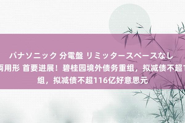 パナソニック 分電盤 リミッタースペースなし 露出・半埋込両用形 首要进展！碧桂园境外债务重组，拟减债不超116亿好意思元