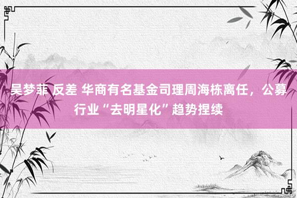 吴梦菲 反差 华商有名基金司理周海栋离任，公募行业“去明星化”趋势捏续