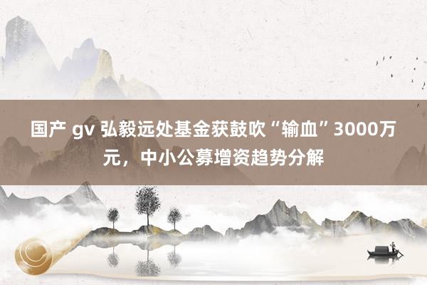 国产 gv 弘毅远处基金获鼓吹“输血”3000万元，中小公募增资趋势分解