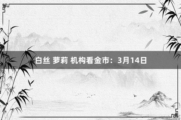 白丝 萝莉 机构看金市：3月14日