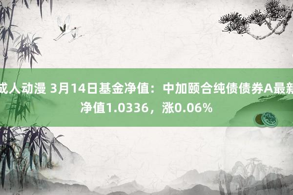 成人动漫 3月14日基金净值：中加颐合纯债债券A最新净值1.0336，涨0.06%