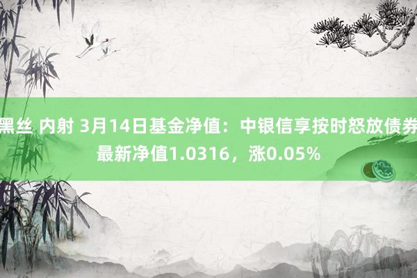 黑丝 内射 3月14日基金净值：中银信享按时怒放债券最新净值1.0316，涨0.05%