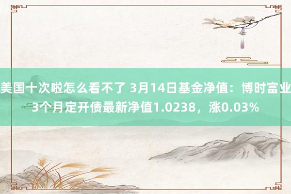 美国十次啦怎么看不了 3月14日基金净值：博时富业3个月定开债最新净值1.0238，涨0.03%