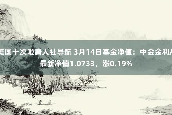 美国十次啦唐人社导航 3月14日基金净值：中金金利A最新净值1.0733，涨0.19%