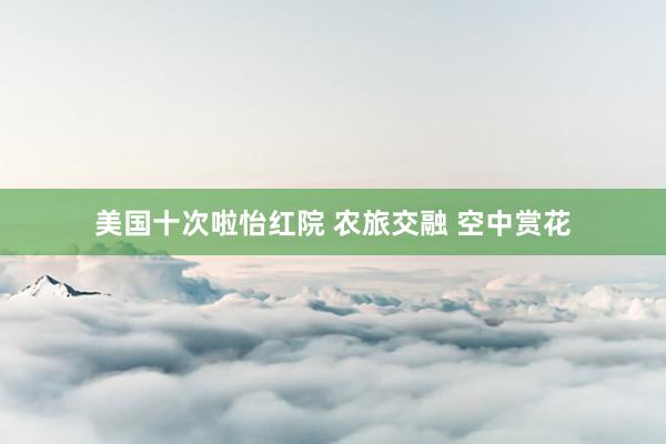 美国十次啦怡红院 农旅交融 空中赏花