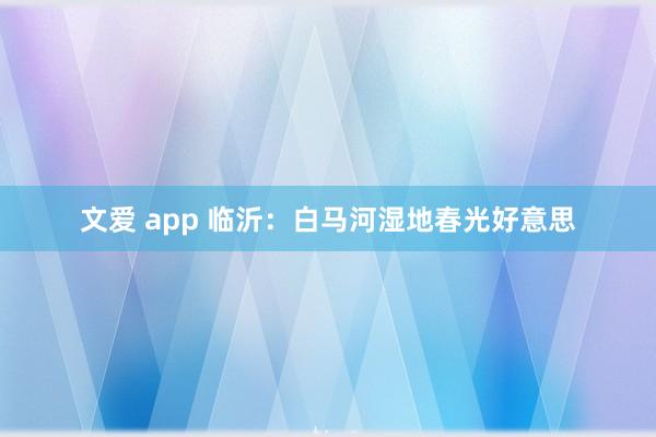 文爱 app 临沂：白马河湿地春光好意思