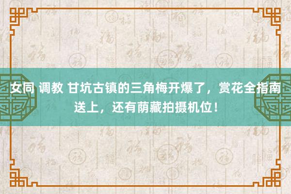 女同 调教 甘坑古镇的三角梅开爆了，赏花全指南送上，还有荫藏拍摄机位！