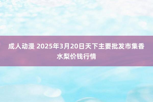 成人动漫 2025年3月20日天下主要批发市集香水梨价钱行情