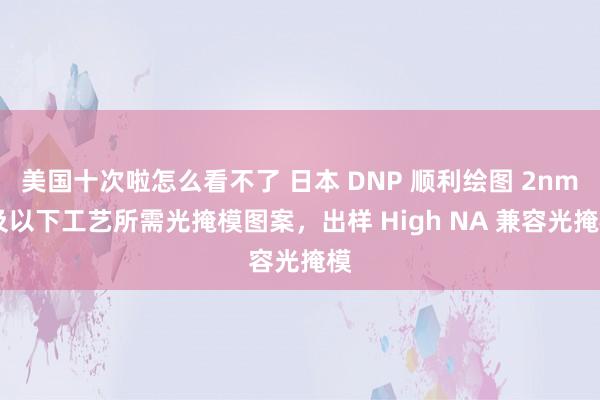 美国十次啦怎么看不了 日本 DNP 顺利绘图 2nm 及以下工艺所需光掩模图案，出样 High NA 兼容光掩模