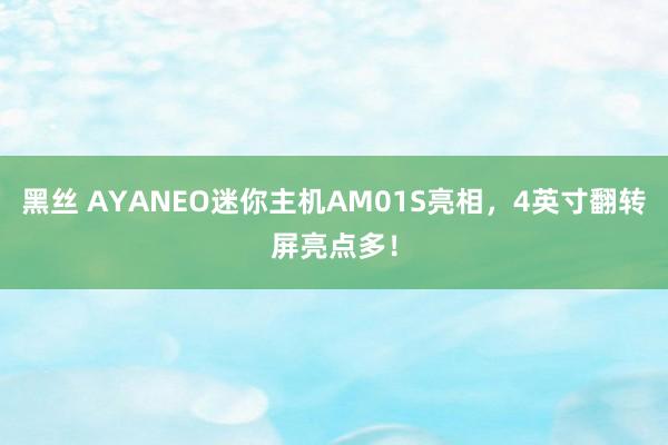 黑丝 AYANEO迷你主机AM01S亮相，4英寸翻转屏亮点多！