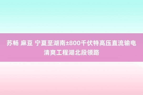 苏畅 麻豆 宁夏至湖南±800千伏特高压直流输电清爽工程湖北段领路