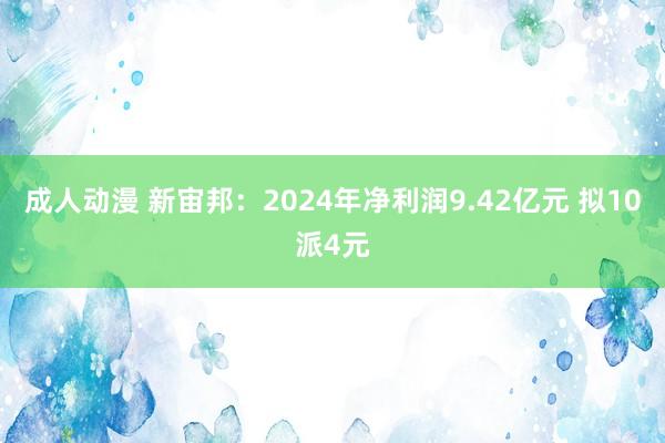 成人动漫 新宙邦：2024年净利润9.42亿元 拟10派4元