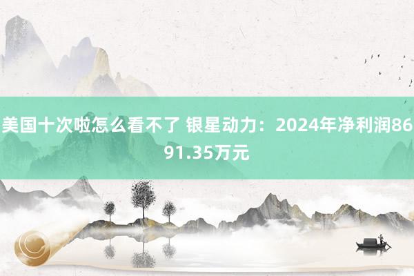 美国十次啦怎么看不了 银星动力：2024年净利润8691.35万元