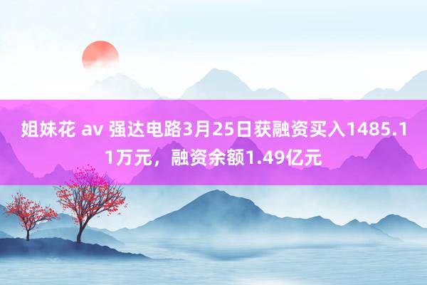 姐妹花 av 强达电路3月25日获融资买入1485.11万元，融资余额1.49亿元