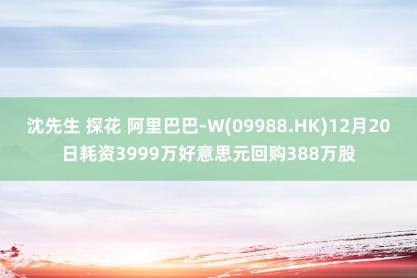 沈先生 探花 阿里巴巴-W(09988.HK)12月20日耗资3999万好意思元回购388万股