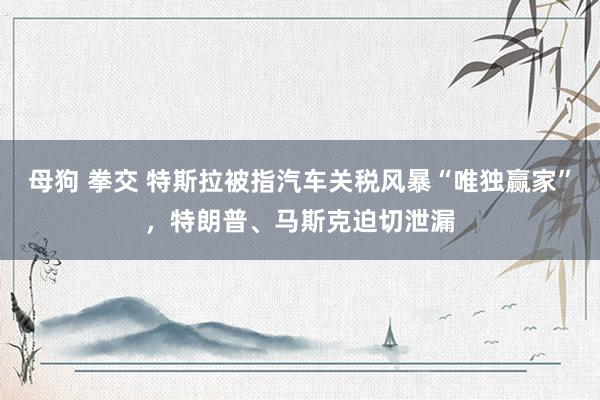 母狗 拳交 特斯拉被指汽车关税风暴“唯独赢家”，特朗普、马斯克迫切泄漏