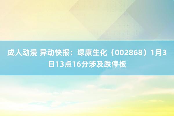 成人动漫 异动快报：绿康生化（002868）1月3日13点16分涉及跌停板