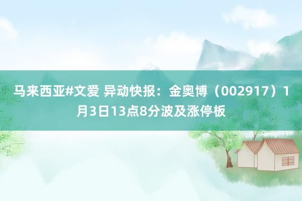 马来西亚#文爱 异动快报：金奥博（002917）1月3日13点8分波及涨停板