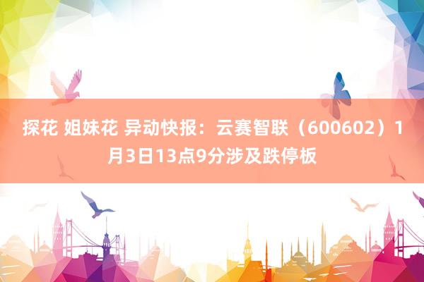 探花 姐妹花 异动快报：云赛智联（600602）1月3日13点9分涉及跌停板