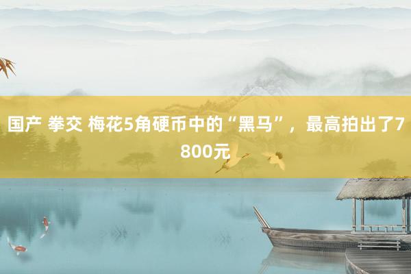 国产 拳交 梅花5角硬币中的“黑马”，最高拍出了7800元