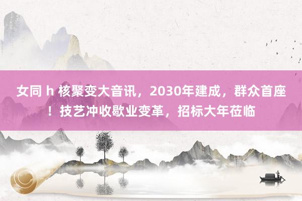 女同 h 核聚变大音讯，2030年建成，群众首座！技艺冲收歇业变革，招标大年莅临