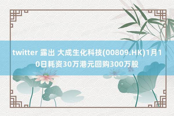 twitter 露出 大成生化科技(00809.HK)1月10日耗资30万港元回购300万股