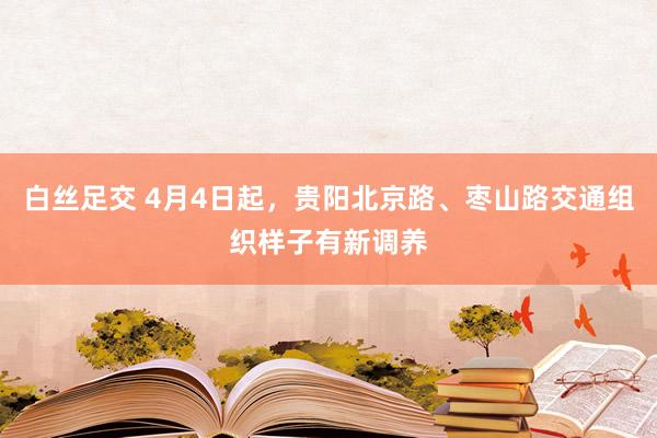白丝足交 4月4日起，贵阳北京路、枣山路交通组织样子有新调养