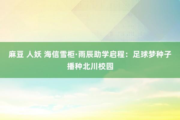 麻豆 人妖 海信雪柜·雨辰助学启程：足球梦种子播种北川校园