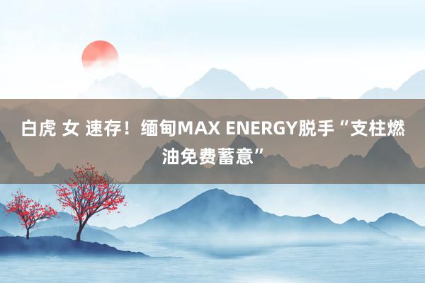 白虎 女 速存！缅甸MAX ENERGY脱手“支柱燃油免费蓄意”