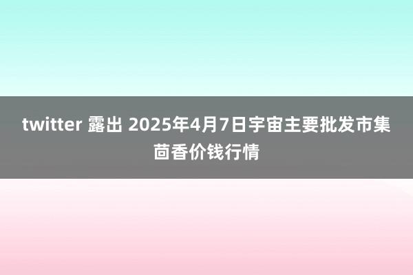 twitter 露出 2025年4月7日宇宙主要批发市集茴香价钱行情