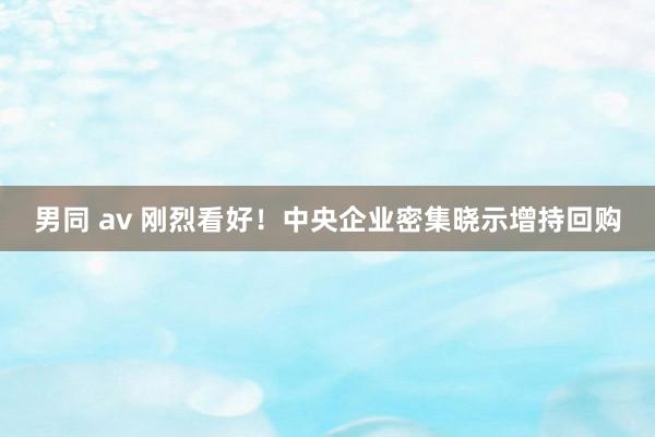 男同 av 刚烈看好！中央企业密集晓示增持回购