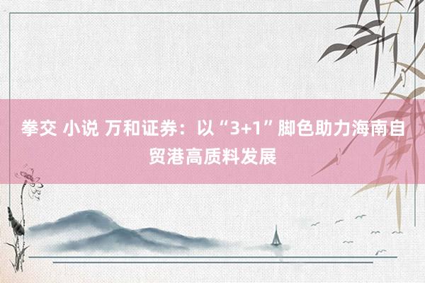 拳交 小说 万和证券：以“3+1”脚色助力海南自贸港高质料发展