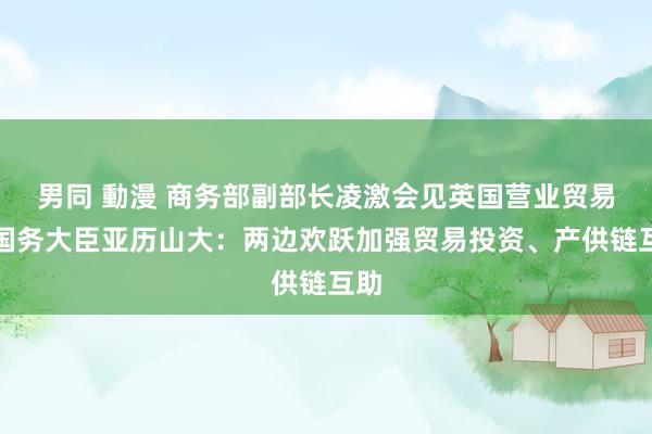 男同 動漫 商务部副部长凌激会见英国营业贸易部国务大臣亚历山大：两边欢跃加强贸易投资、产供链互助