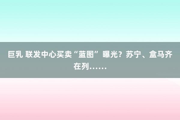 巨乳 联发中心买卖“蓝图” 曝光？苏宁、盒马齐在列……